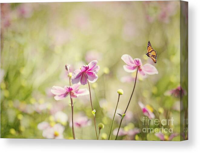 Butterfly Canvas Print featuring the photograph Sweet Butterfly Garden by Susan Gary