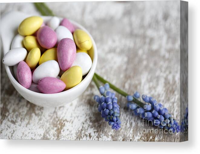 Candy Canvas Print featuring the photograph Sweet Candy by Nailia Schwarz