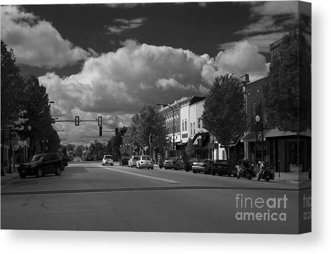Downtown Canvas Print featuring the photograph Sycamore in B-W by David Bearden