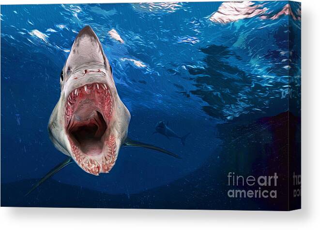 Shark Canvas Print featuring the mixed media Tag Team by Alan Greene
