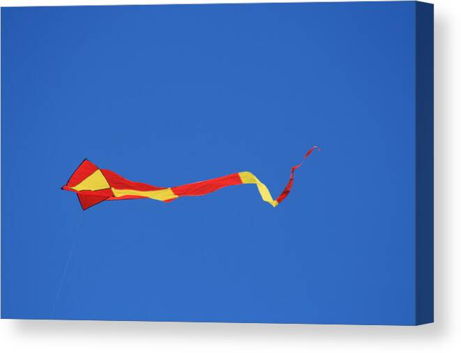 Kite Canvas Print featuring the photograph Tail Kite and Blue by Phoenix De Vries
