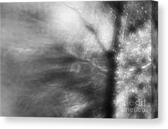 Forest Canvas Print featuring the photograph Tales of the forest by Ang El