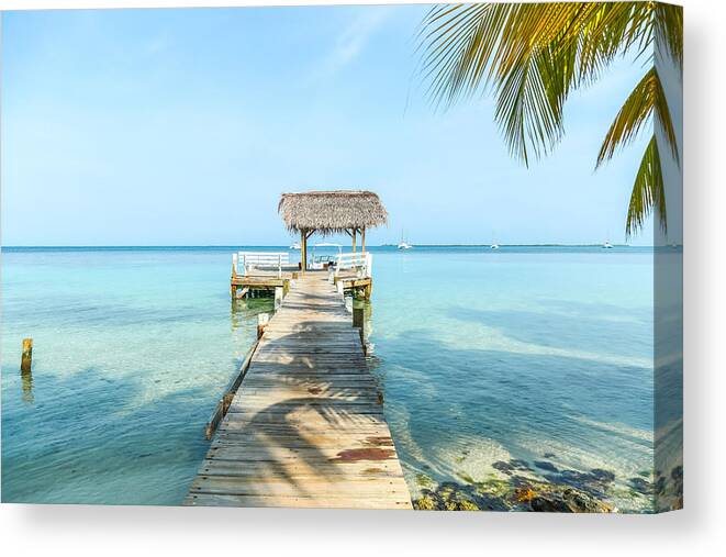 Belize Water Trees Sand Canvas Print featuring the photograph Take a walk in Paradise by Tyler Olson