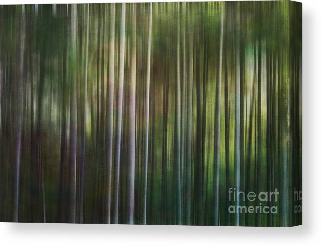Pine Trees Canvas Print featuring the digital art Tall Pines by Jayne Carney