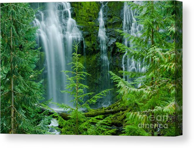Pacific Canvas Print featuring the photograph Pacific Northwest Waterfall by Nick Boren