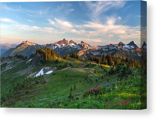 Alpine Canvas Print featuring the photograph Tatoosh Range Wildflowers from Mazama Ridge by Michael Russell