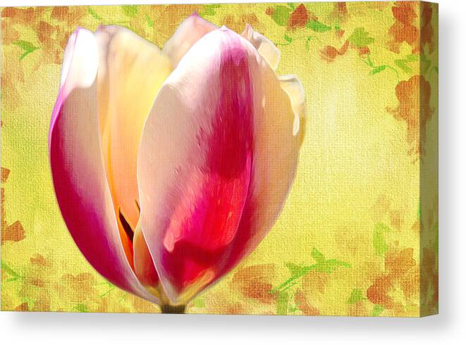 Flower Canvas Print featuring the photograph Tawny Cream Tulip by Bill and Linda Tiepelman