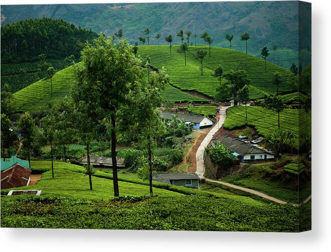 Tranquility Canvas Print featuring the photograph Tea Pickers Village Near Munnar by Ania Blazejewska