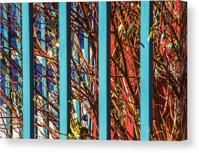  Canvas Print featuring the photograph Teal Fence by Raymond Kunst