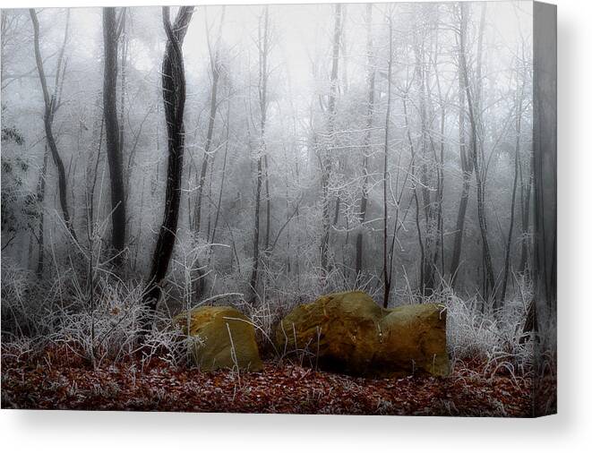 Landscape Frost Canvas Print featuring the photograph Tennessee Mountain Frost by Michael Eingle