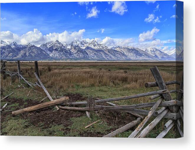 Landscape Canvas Print featuring the photograph Teton Fences by Jared Perry 