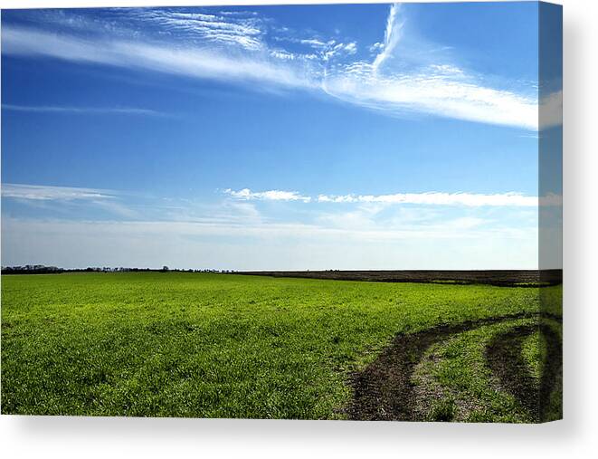 Field Canvas Print featuring the photograph Texas Fields in Springtime by Mark McKinney