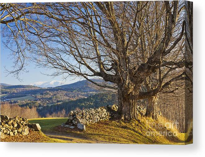 Autumn Canvas Print featuring the photograph Thanksgiving Day Landscape by Alan L Graham