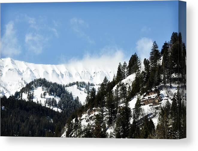 Alpine Wyoming Canvas Print featuring the photograph The Artwork Of Winter by Image Takers Photography LLC - Laura Morgan