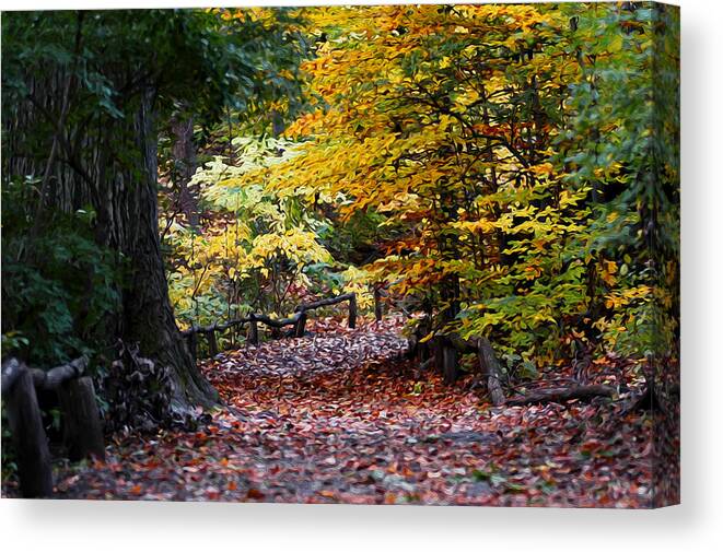 Manhattan Canvas Print featuring the photograph The Autumn Path by Yue Wang