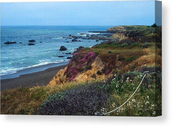 Beach Canvas Print featuring the photograph The Beauty of the Central Coast by Kathy Yates