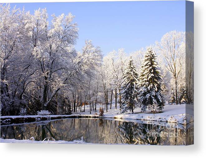 Marcia Lee Jones Canvas Print featuring the photograph The Beauty Of White by Marcia Lee Jones