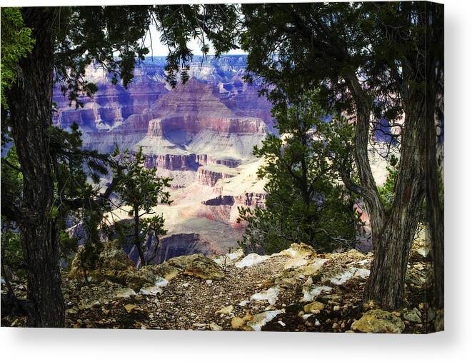 Color Canvas Print featuring the photograph The Canyon -1 by Alan Hausenflock