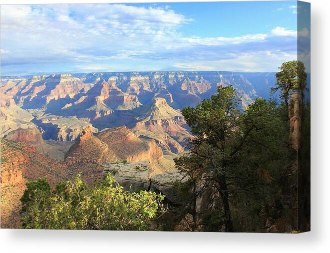 Landscapes Canvas Print featuring the photograph The Canyon Morning Shadows by Douglas Miller