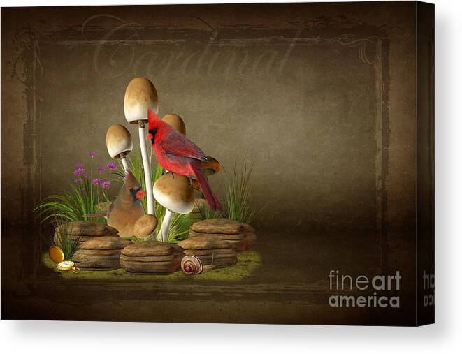 Animal Canvas Print featuring the photograph The Cardinal by Davandra Cribbie
