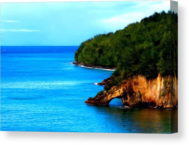 Ocean Canvas Print featuring the painting The Cove by Bruce Nutting