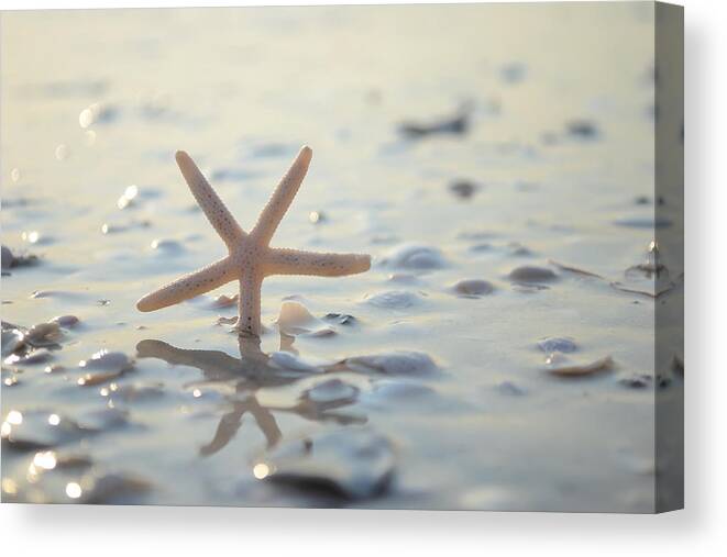 Seashore Canvas Print featuring the photograph The Cure For Anything... by Melanie Moraga