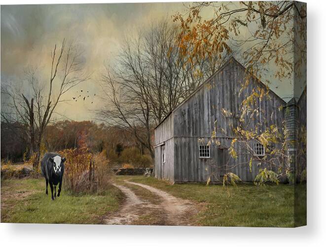 Cow Canvas Print featuring the photograph The Curious by Robin-Lee Vieira