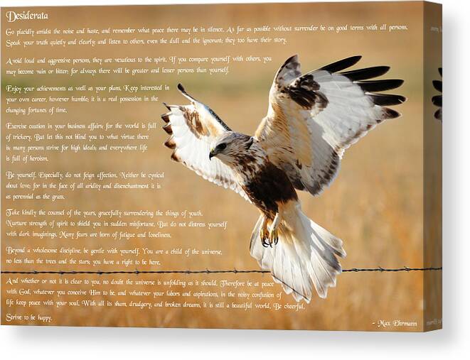 Desiderata Canvas Print featuring the photograph The Desiderata with Hawk by Greg Norrell