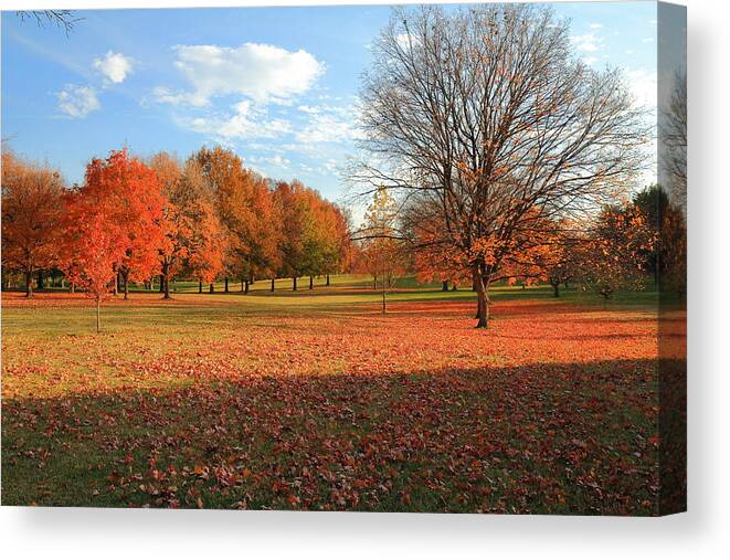 Trees Canvas Print featuring the photograph The End of Autumn in Francis Park by Scott Rackers