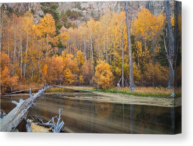 Landscape Canvas Print featuring the photograph The Essence by Jonathan Nguyen