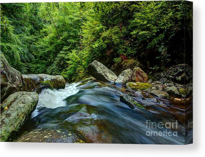 Stream Canvas Print featuring the photograph The Flow Keeps On by Michael Eingle