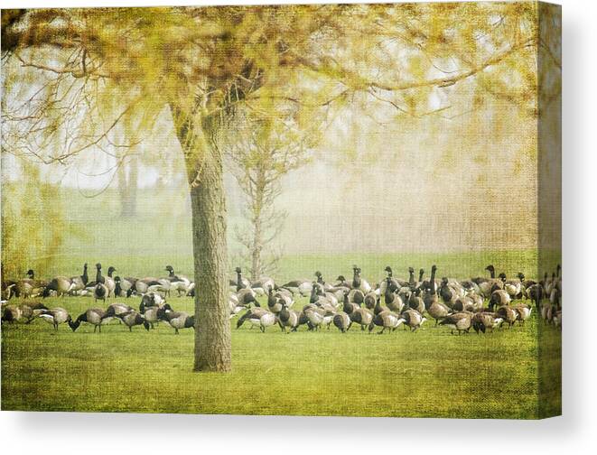 Flock Canvas Print featuring the photograph The Gathering by Cathy Kovarik