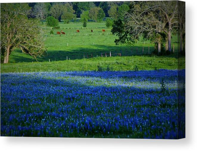 Texas Canvas Print featuring the photograph The Pastures of Central Texas by John Glass