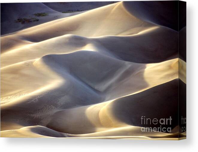 The Great Sand Dunes Canvas Print featuring the photograph The Great Sand Dunes by Douglas Taylor