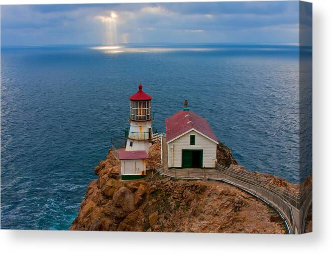 Nature Canvas Print featuring the photograph The Guardian by Jonathan Nguyen