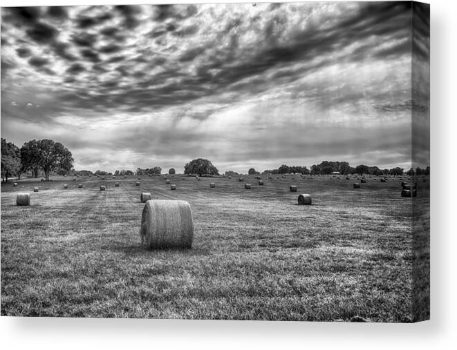 Hay Canvas Print featuring the photograph The Hay Bails by Howard Salmon