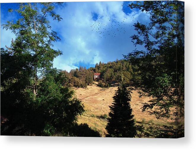 Julian Canvas Print featuring the photograph The Hillsides Of Julian by Glenn McCarthy Art and Photography