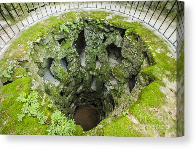 Sintra Canvas Print featuring the photograph The Imperfect Well by Deborah Smolinske