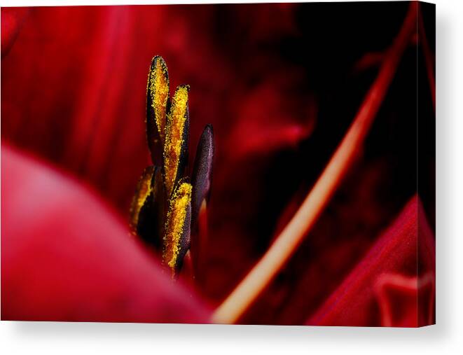 Scarlet Colored Lily Canvas Print featuring the photograph The Insiders by Michael Eingle