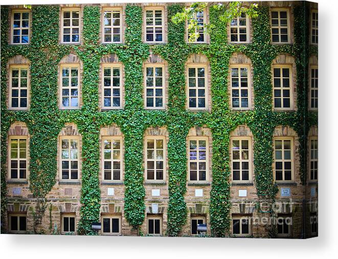 Princeton University Canvas Print featuring the photograph The Ivy Walls by Colleen Kammerer