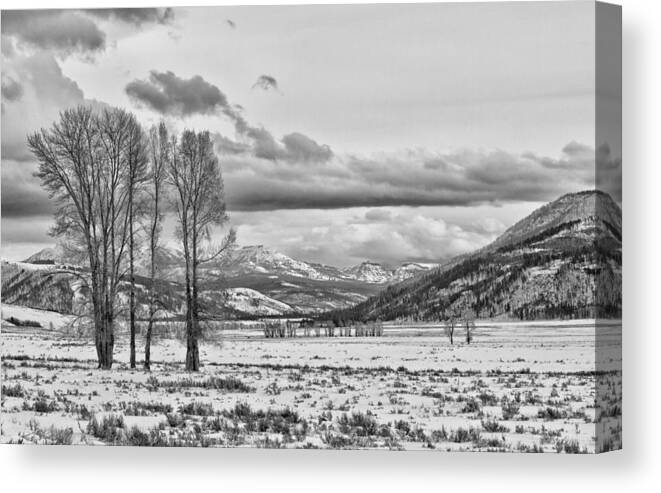 Yellowstone Canvas Print featuring the photograph The Lamar Valley by Jared Perry 