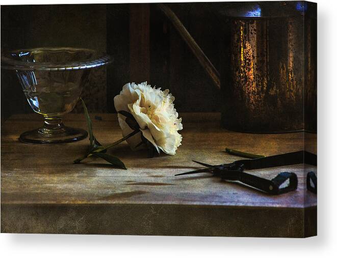 Peony Canvas Print featuring the photograph The Last Cutting by John Rivera