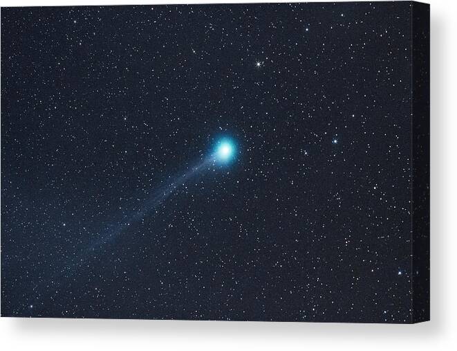 Comet Canvas Print featuring the photograph The Lovejoy Comet 2015 by Dennis Bucklin