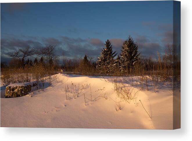 Snow Canvas Print featuring the photograph The Morning After the Snowstorm by Georgia Mizuleva