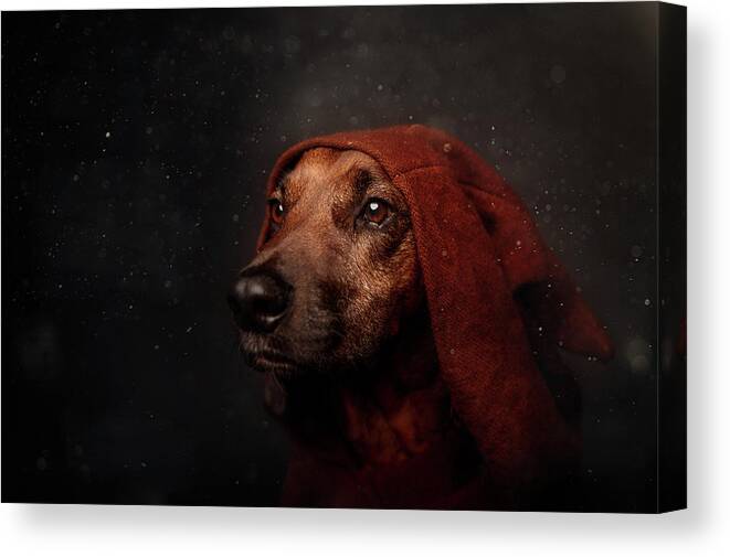 Portrait Canvas Print featuring the photograph The Night-watchman by Heike Willers