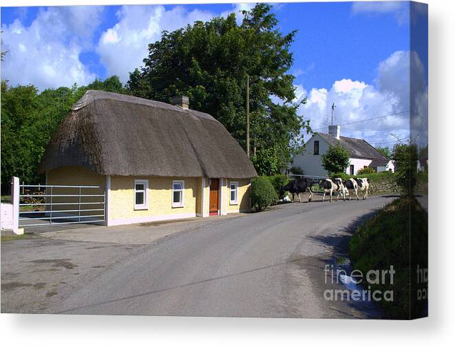 Thatched Cottage Canvas Print featuring the photograph The old thatched cottage by Joe Cashin