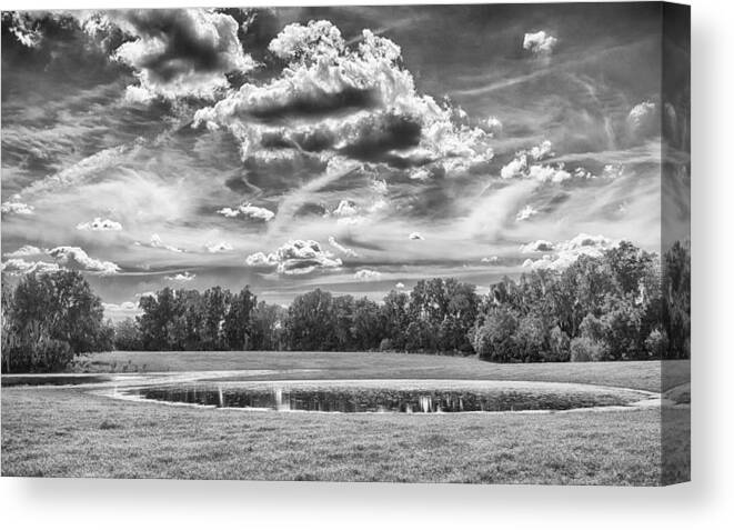 Florida Canvas Print featuring the photograph The Pond by Howard Salmon