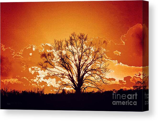 Tree Prints Canvas Print featuring the photograph The Promise of a New Day by Jinx Farmer