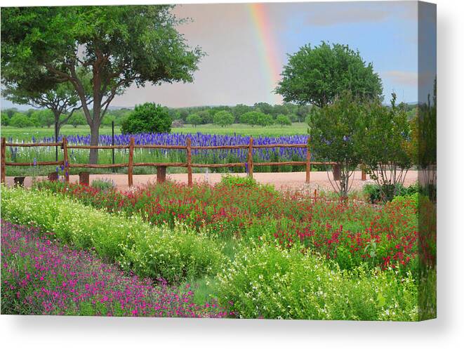 Flower Canvas Print featuring the photograph The Promise of Spring #2 by Lynn Bauer
