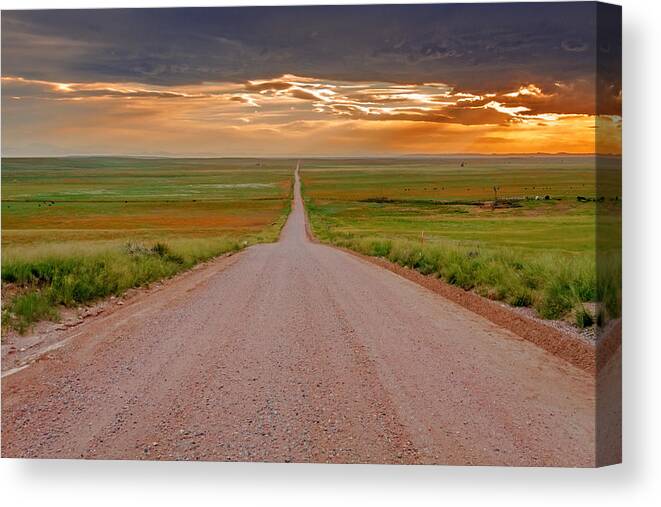 Pawnee National Grasslands Canvas Print featuring the photograph The Road Less Traveled by Teri Virbickis